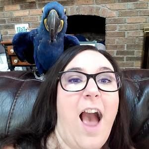 Meet your Posher, Samantha